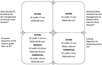 The evolving role of multi-modality imaging in transcatheter tricuspid valve interventions